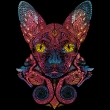 Magic Cat (Чорна Футболка)