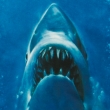 Jaws (Біла Футболка)